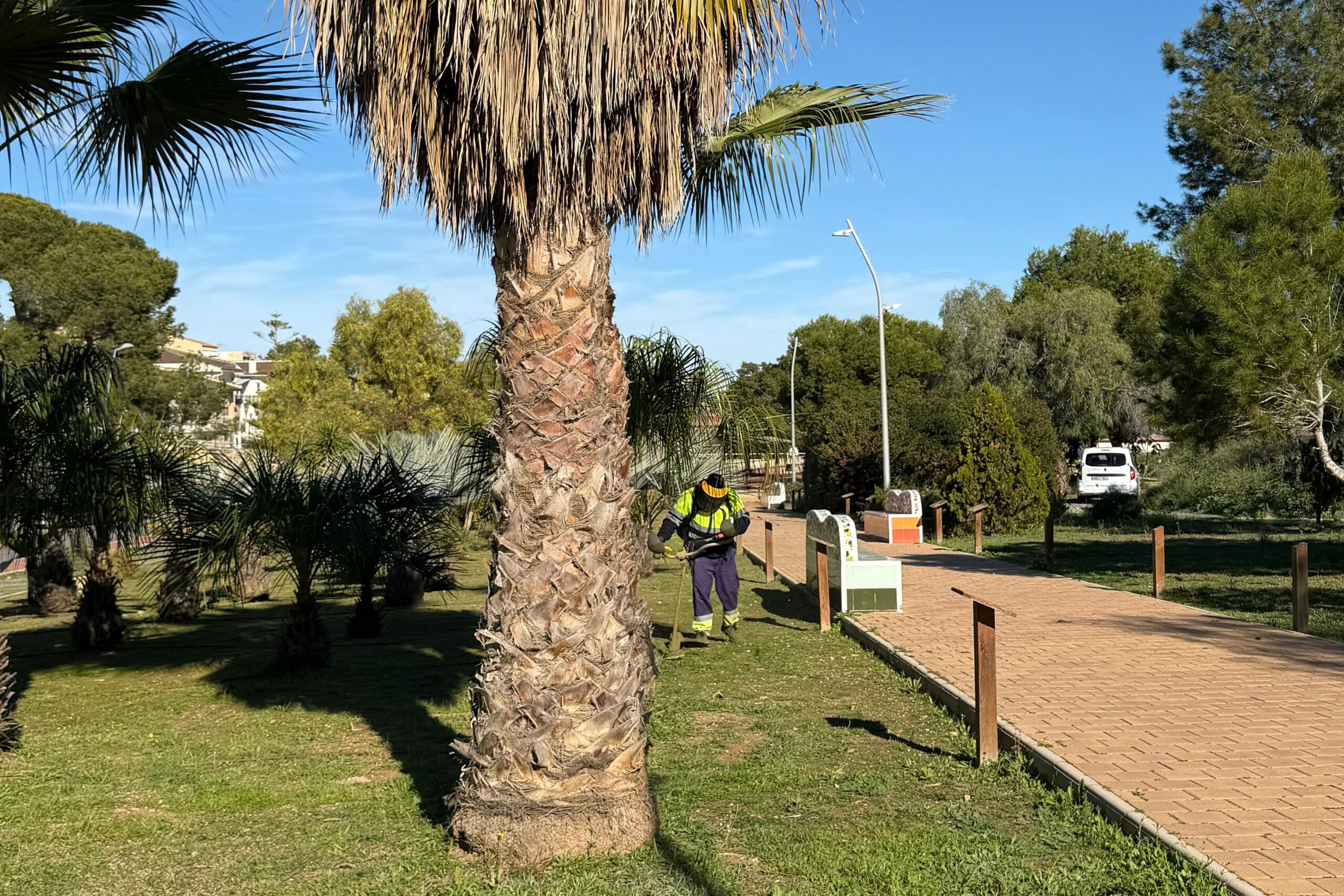 Actúa realiza una actuación integral de mantenimiento en el Parque Reina de la Sal de Torrevieja Actúa realiza una actuación integral de mantenimiento en el Parque Reina de la Sal de Torrevieja