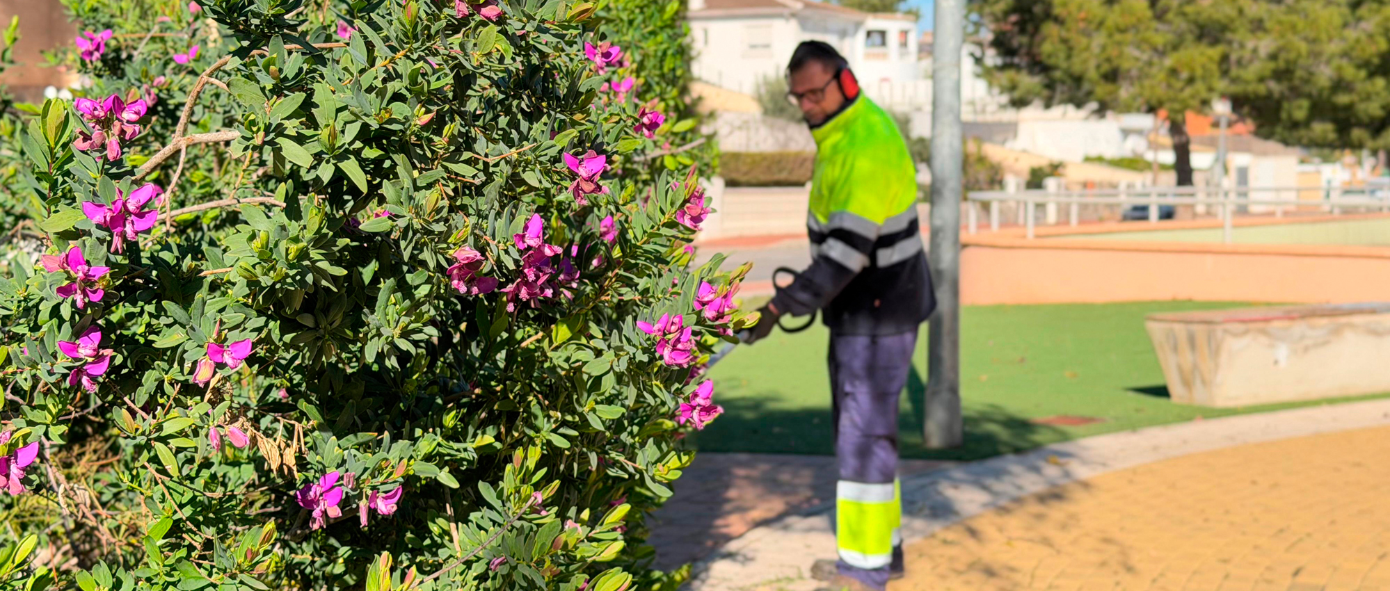 Actúa realiza una actuación integral de mantenimiento en el Parque Reina de la Sal de Torrevieja