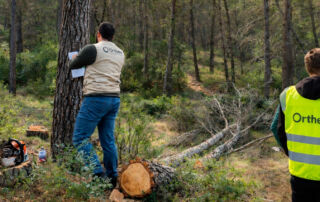 Life Token CO₂ arranca en Moratalla y amplía su despliegue forestal en el sureste peninsular