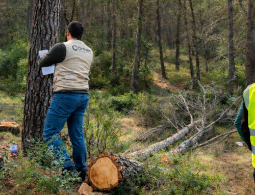 Life Token CO₂ arranca en Moratalla y amplía su despliegue forestal en el sureste peninsular