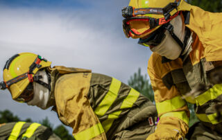 Por qué es necesario gestionar los bosques: motivos ecológicos, económicos y de salud pública