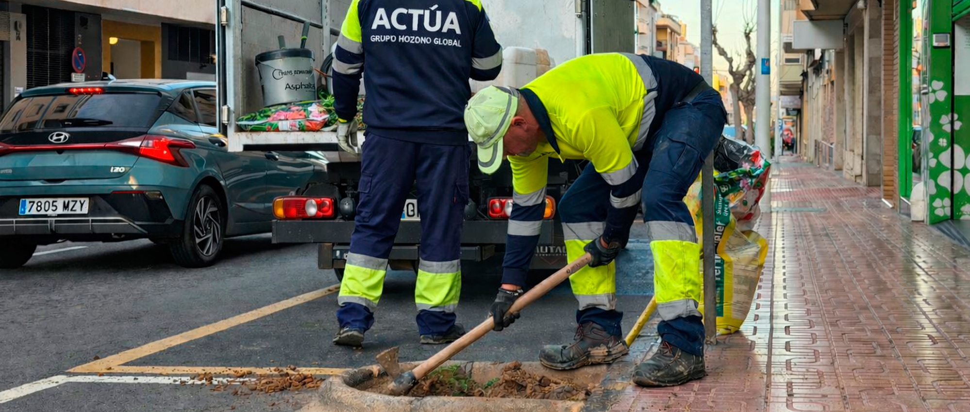 Cerca de medio centenar de nuevos árboles mejoran la sombra y el paisaje urbano en Torrevieja