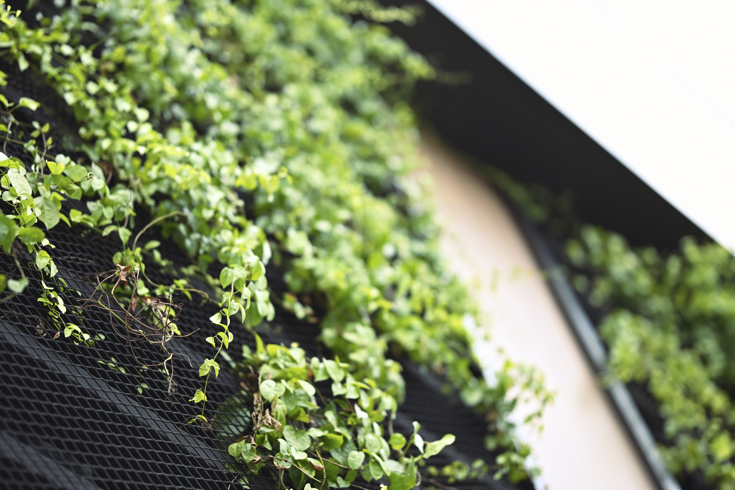 Lorquí mejorará su calidad ambiental gracias a un proyecto europeo de renaturalización urbana Lorquí mejorará su calidad ambiental gracias a un proyecto europeo de renaturalización urbana