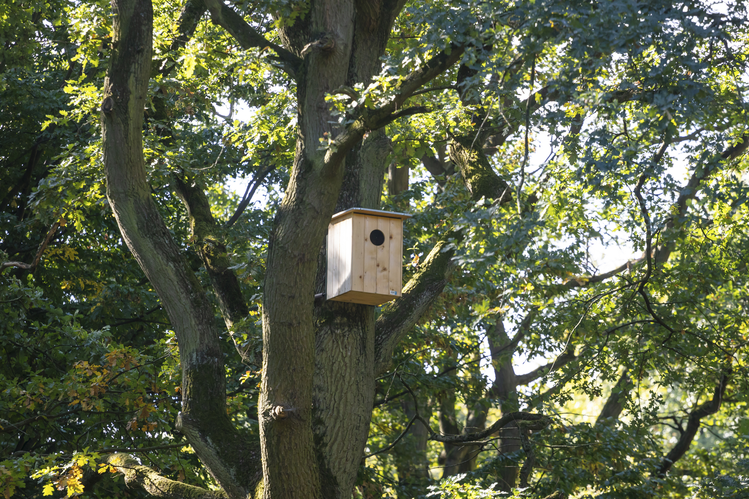 Lorquí mejorará su calidad ambiental gracias a un proyecto europeo de renaturalización urbana Lorquí mejorará su calidad ambiental gracias a un proyecto europeo de renaturalización urbana