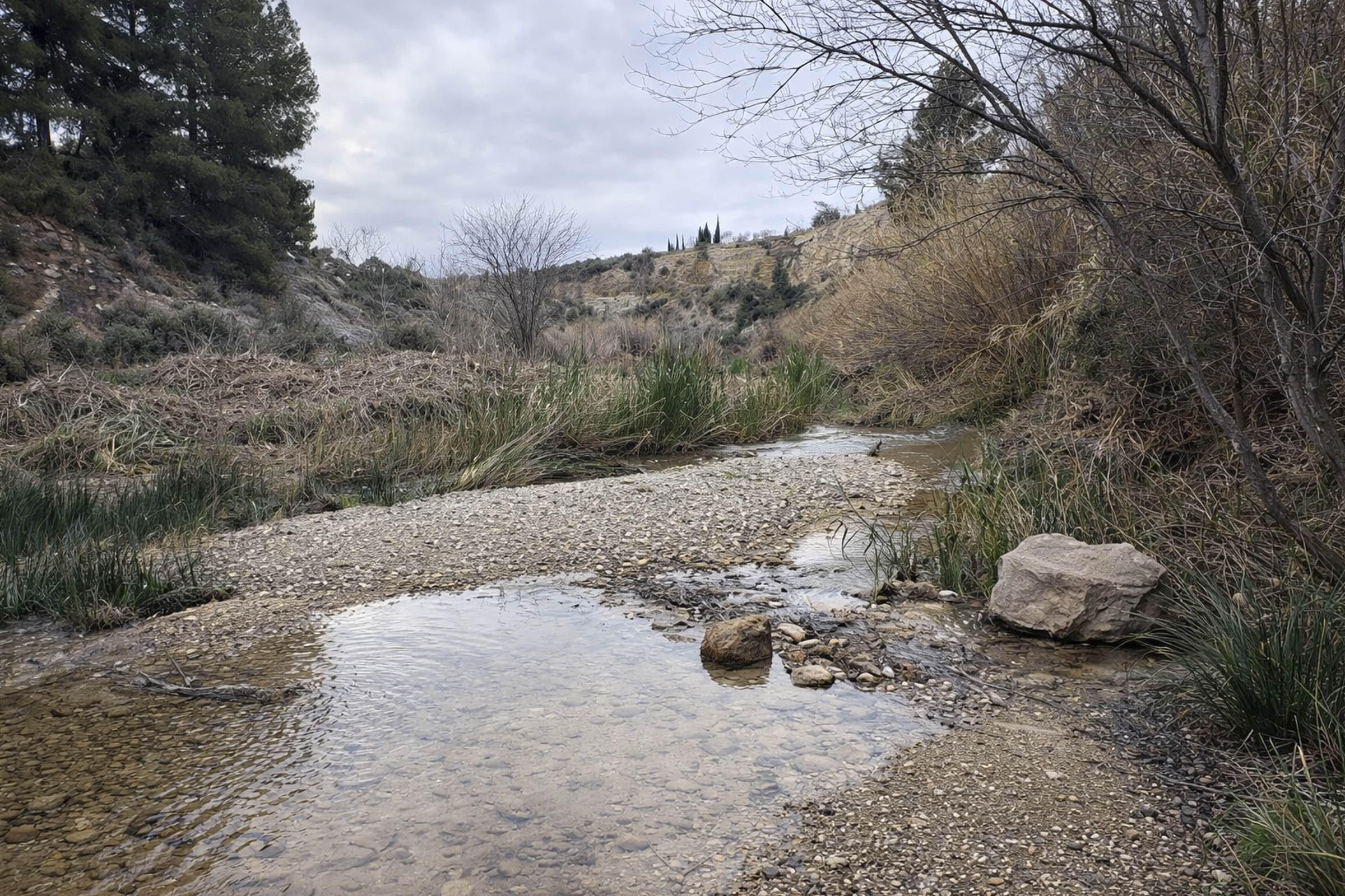 El río Mula recuperará su vegetación autóctona en más de la mitad de su recorrido El río Mula recuperará su vegetación autóctona en más de la mitad de su recorrido