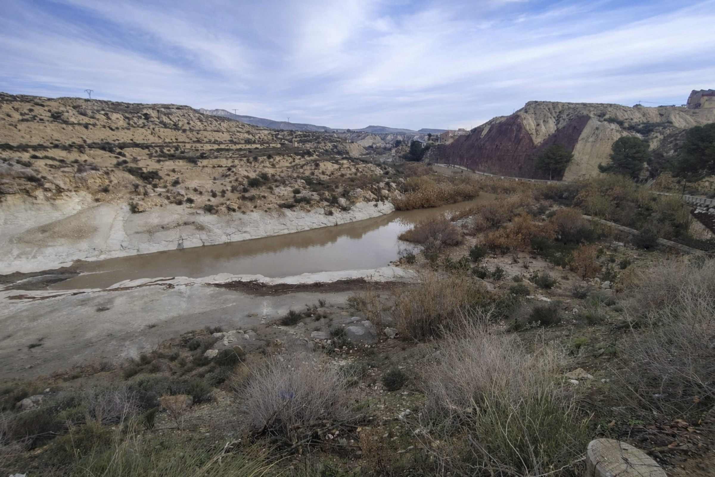 El río Mula recuperará su vegetación autóctona en más de la mitad de su recorrido El río Mula recuperará su vegetación autóctona en más de la mitad de su recorrido