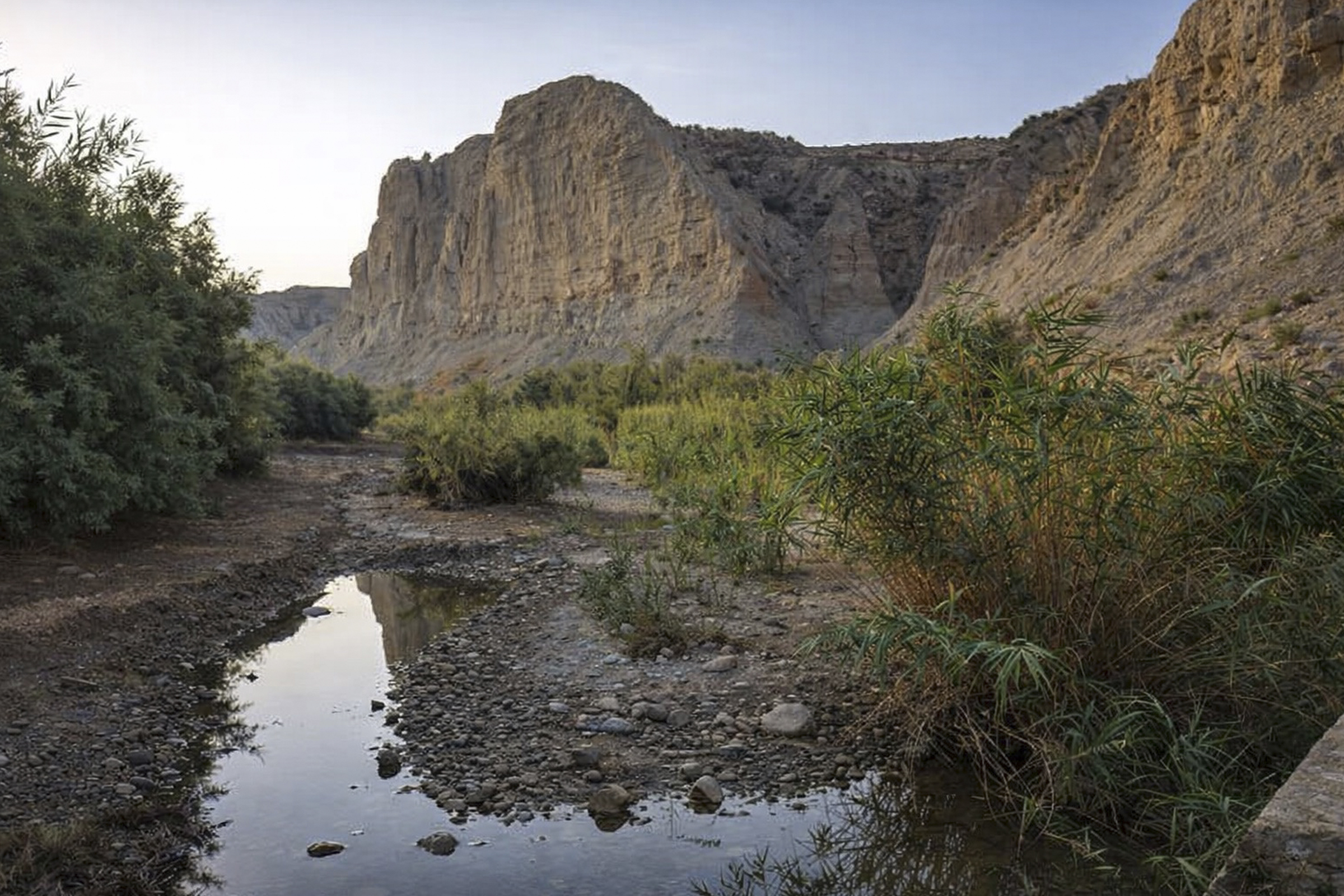El río Mula recuperará su vegetación autóctona en más de la mitad de su recorrido El río Mula recuperará su vegetación autóctona en más de la mitad de su recorrido