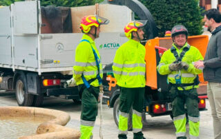 Lorca protege su patrimonio arbóreo con sistemas de sustentación de última tecnología para garantizar la seguridad ciudadana