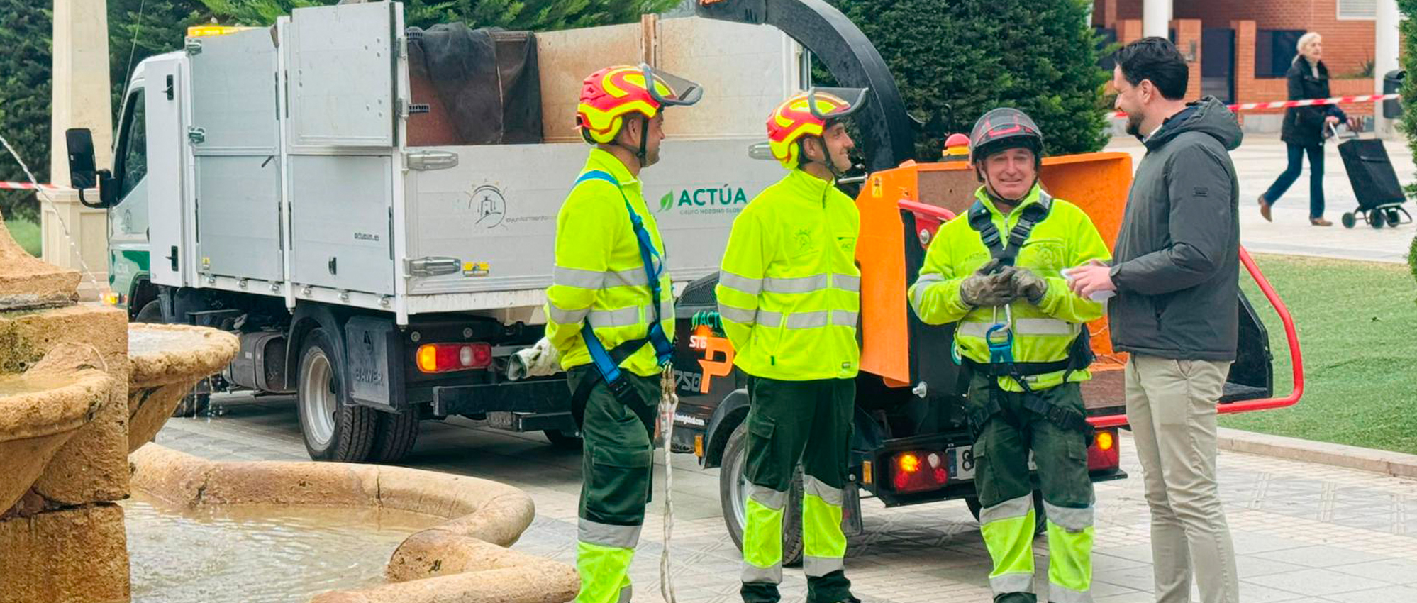 Lorca protege su patrimonio arbóreo con sistemas de sustentación de última tecnología para garantizar la seguridad ciudadana