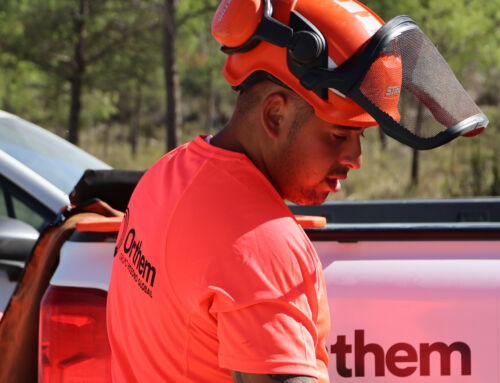 Orthem se suma en Madrid a la celebración del Día Internacional de los Bosques