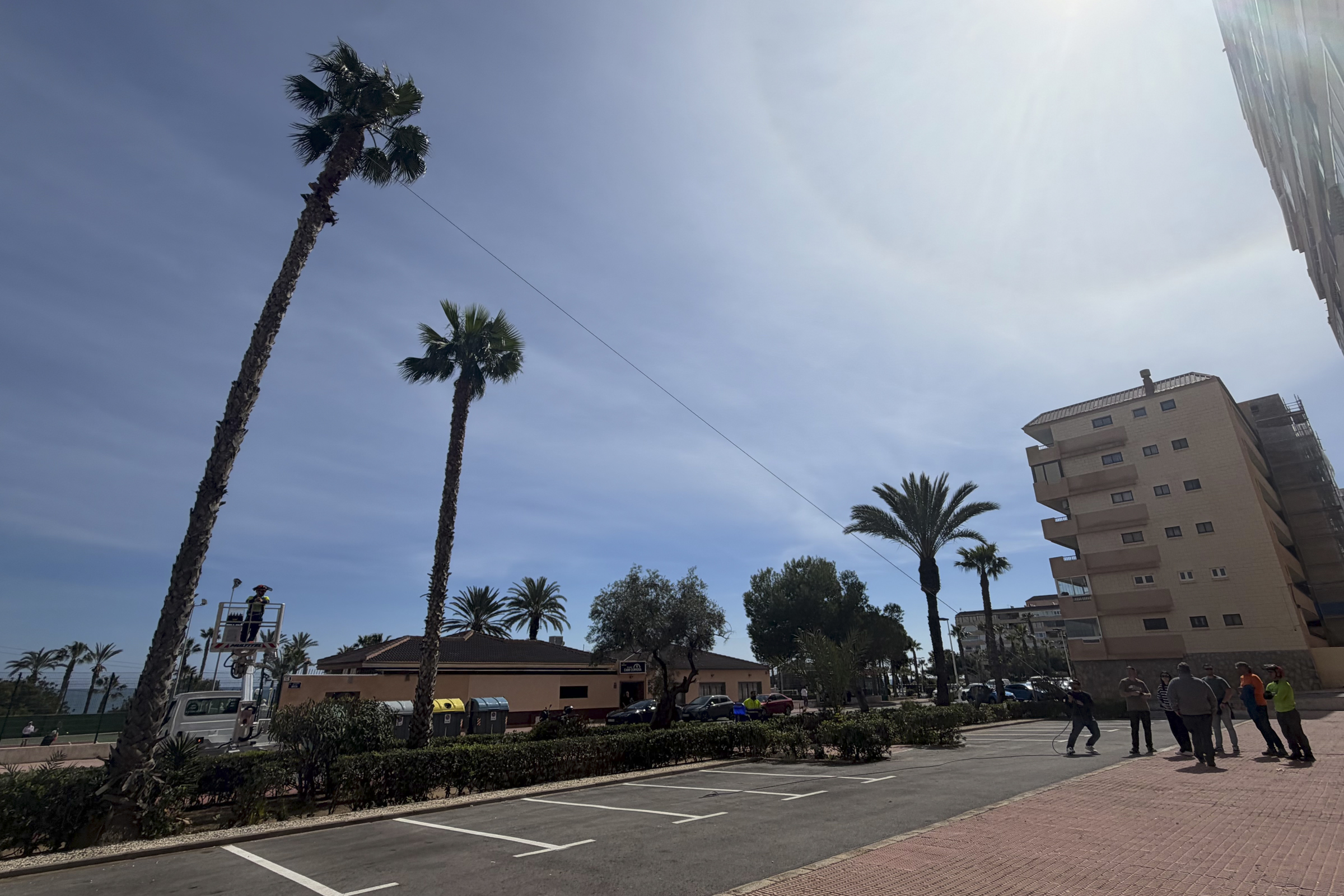 Profesionales de Actúa se forman en biomecánica y gestión de riesgos de palmeras Profesionales de Actúa se forman en biomecánica y gestión de riesgos de palmeras