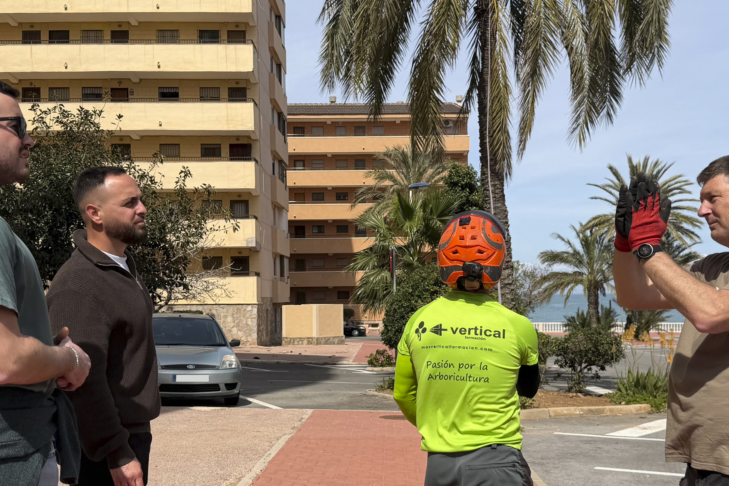 Profesionales de Actúa se forman en biomecánica y gestión de riesgos de palmeras Profesionales de Actúa se forman en biomecánica y gestión de riesgos de palmeras