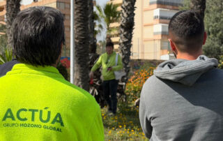 Profesionales de Actúa se forman en biomecánica y gestión de riesgos de palmeras