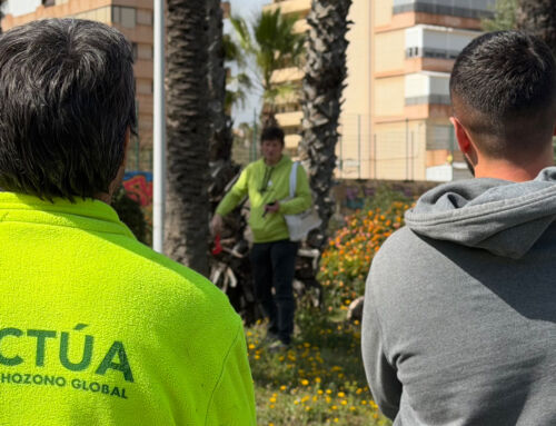 Profesionales de Actúa se forman en biomecánica y gestión de riesgos de palmeras
