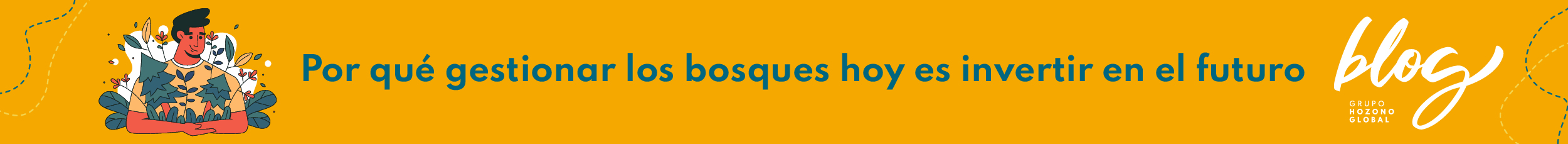 Hozono Global - Por qué gestionar los bosques hoy es invertir en el futuro