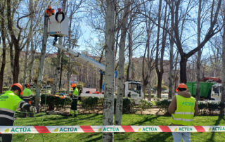 Actúa forma en Torrejón de Ardoz a once alumnos en técnicas de arboricultura moderna