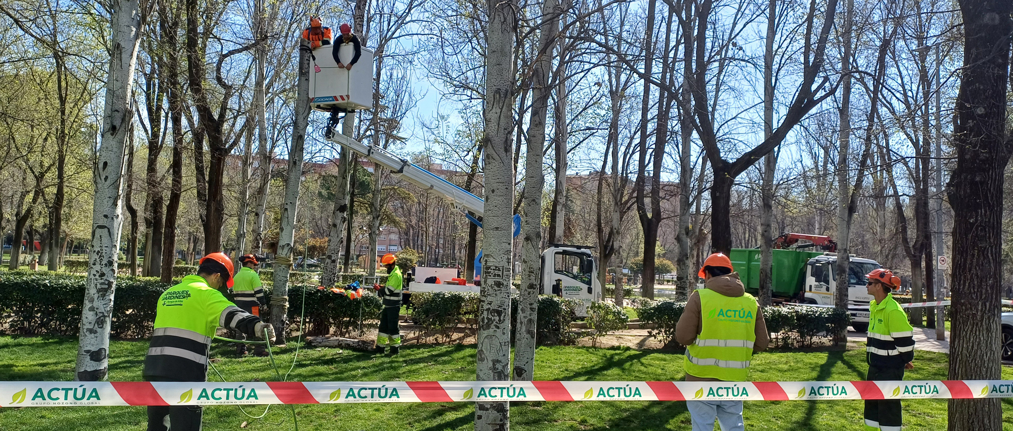 Actúa forma en Torrejón de Ardoz a once alumnos en técnicas de arboricultura moderna