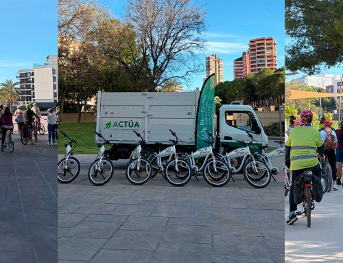 Benidorm lanza un programa de actividades ambientales para fomentar la biodiversidad urbana