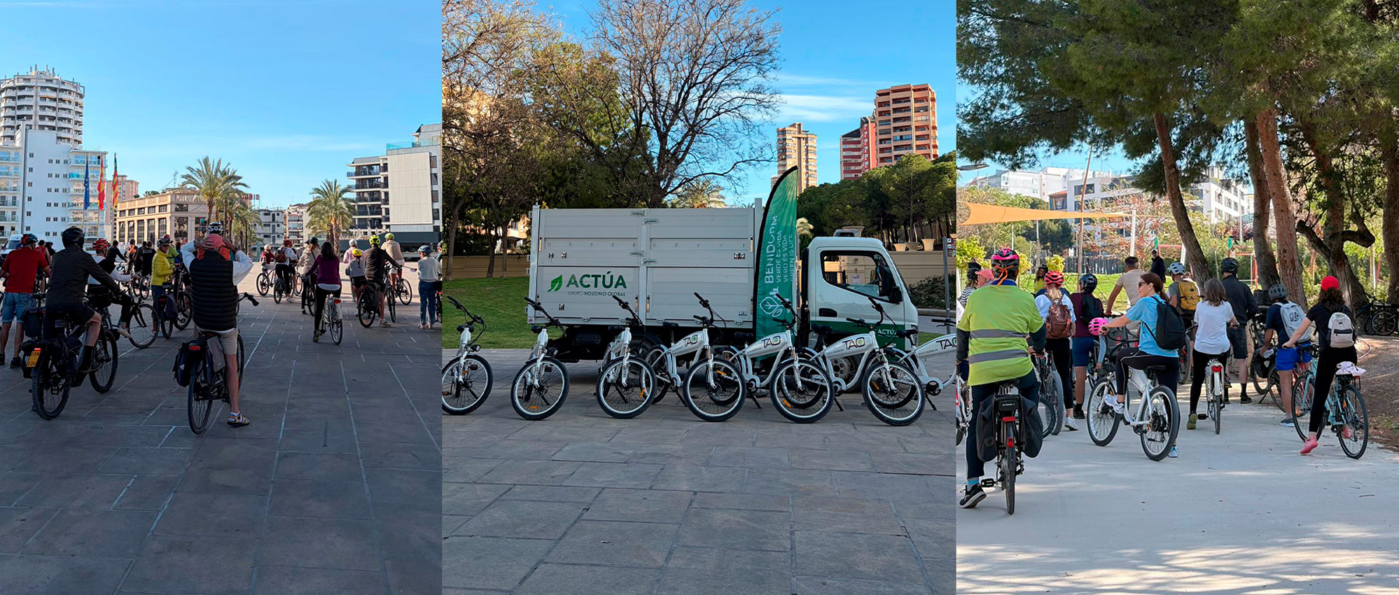 Benidorm lanza un programa de actividades ambientales para fomentar la biodiversidad urbana