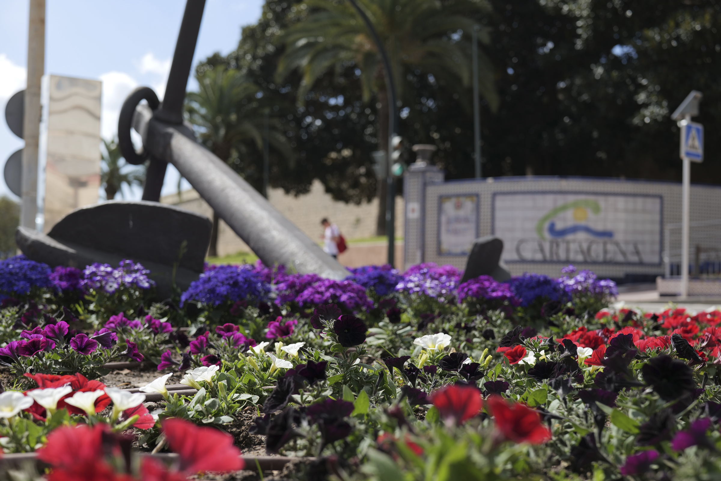 Cartagena luce sus mejores galas con 30.000 flores para su Semana Santa Cartagena luce sus mejores galas con 30.000 flores para su Semana Santa