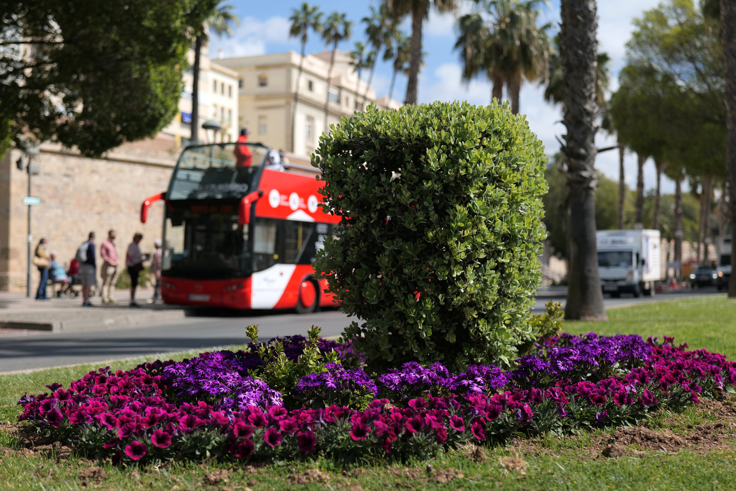 Cartagena luce sus mejores galas con 30.000 flores para su Semana Santa Cartagena luce sus mejores galas con 30.000 flores para su Semana Santa