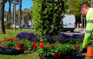Cartagena luce sus mejores galas con 30.000 flores para su Semana Santa