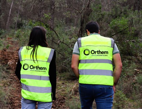 El proyecto Life Token encara su recta final