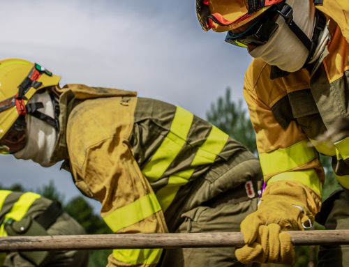 La Cátedra de Medioambiente, Agua y Energía ‘Grupo Hozono Global’ de la UCAM analiza los retos de la gestión forestal