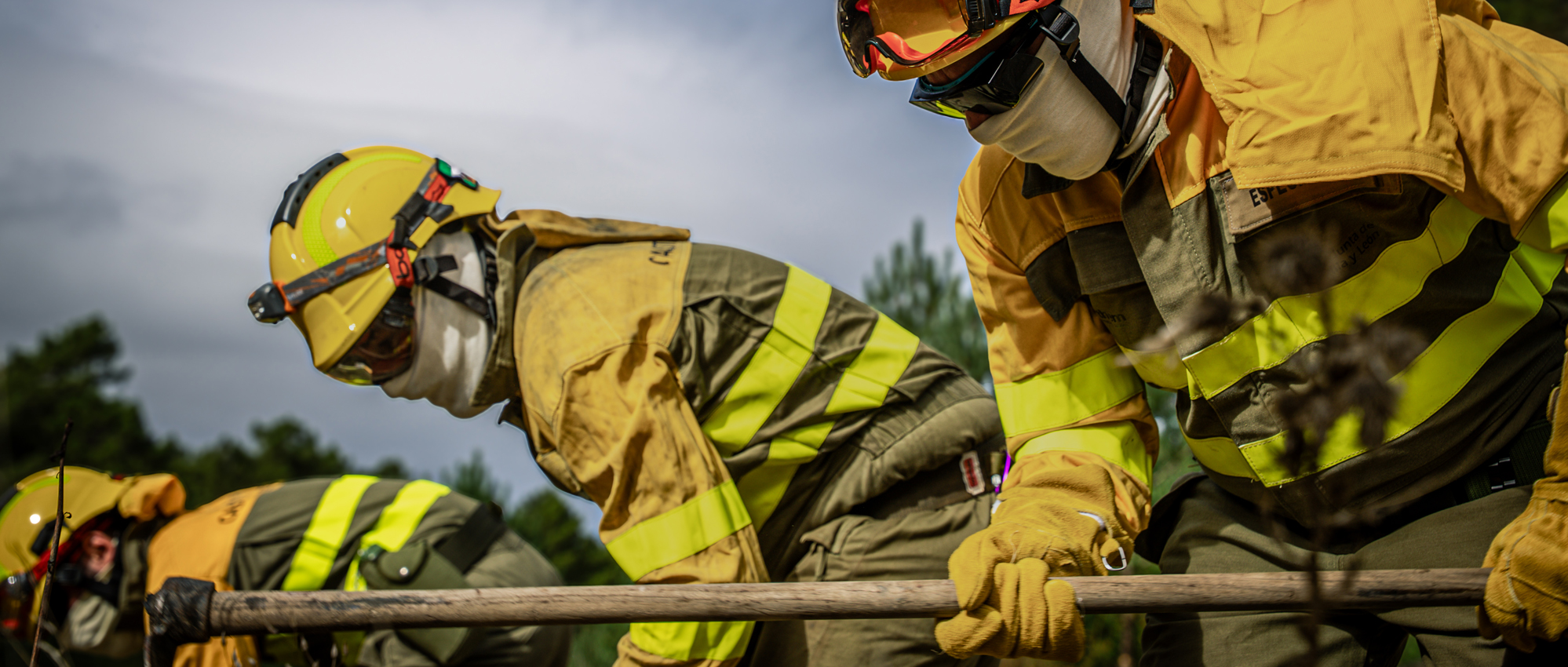 La Cátedra de Medioambiente, Agua y Energía ‘Grupo Hozono Global’ de la UCAM analiza los retos de la gestión forestal