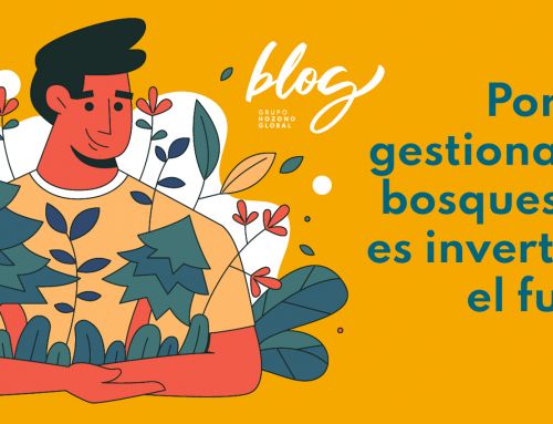 Por qué gestionar los bosques hoy es invertir en el futuro