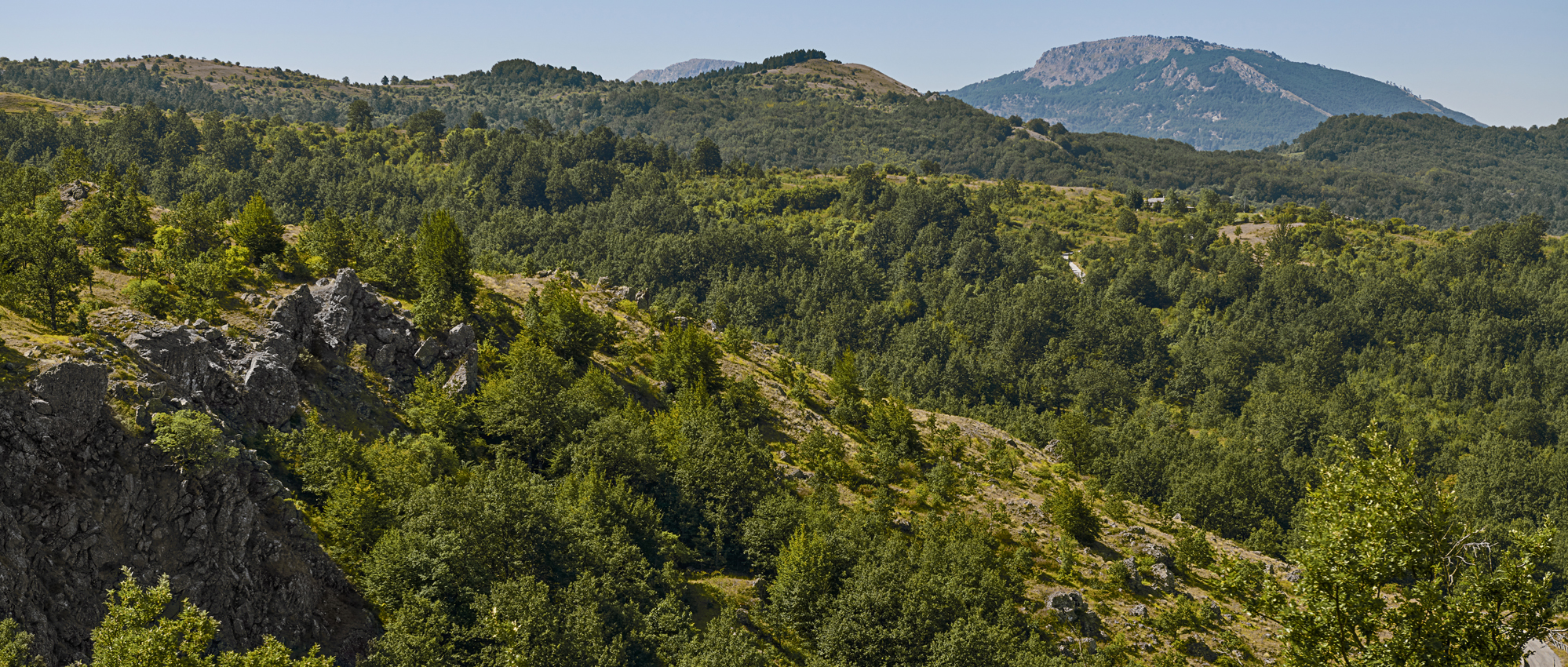 Una mirada a la conservación de los bosques del Noroeste ante el desafío del cambio climático