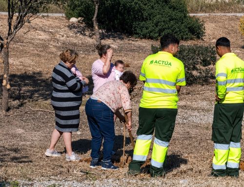 Villajoyosa crece en verde: cien árboles dan vida al nuevo Jardín dels Nous Vilers