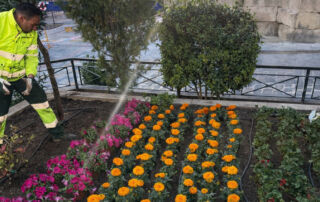 Yecla se viste de primavera con una espectacular cobertura de flores en la plaza de España