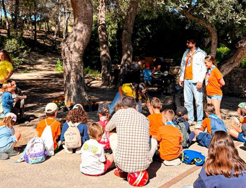 Benidorm fomenta la biodiversidad urbana con la creación de cajas nido y hoteles de insectos en Foietes