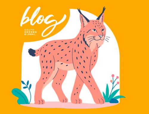 La recuperación del lince ibérico, una historia de éxito