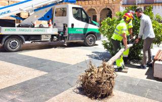 Lorca renovará el arbolado de Plaza de España para ganar sombra y mejorar el entorno urbano