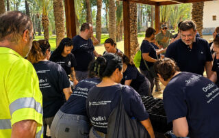 Actúa siembra nuevas palmeras a partir de huesos de dátil en el Palmeral de Orihuela