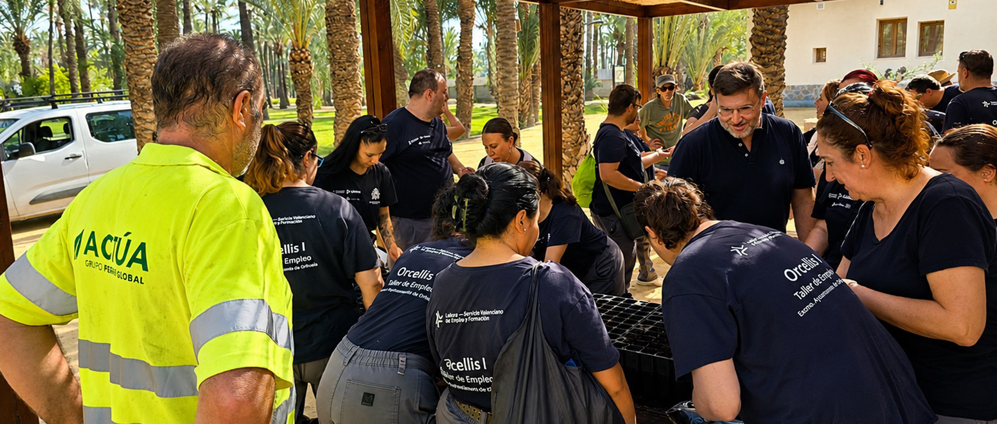 Actúa siembra nuevas palmeras a partir de huesos de dátil en el Palmeral de Orihuela