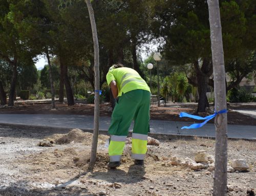 Cartagena renueva el arbolado deteriorado en distintos puntos del municipio