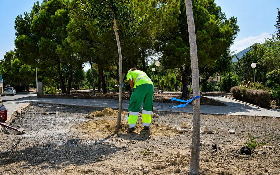 Cartagena suma más de 400 nuevos árboles en el primer semestre del año