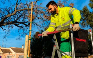 Cartagena suma más de 400 nuevos árboles en el primer semestre del año