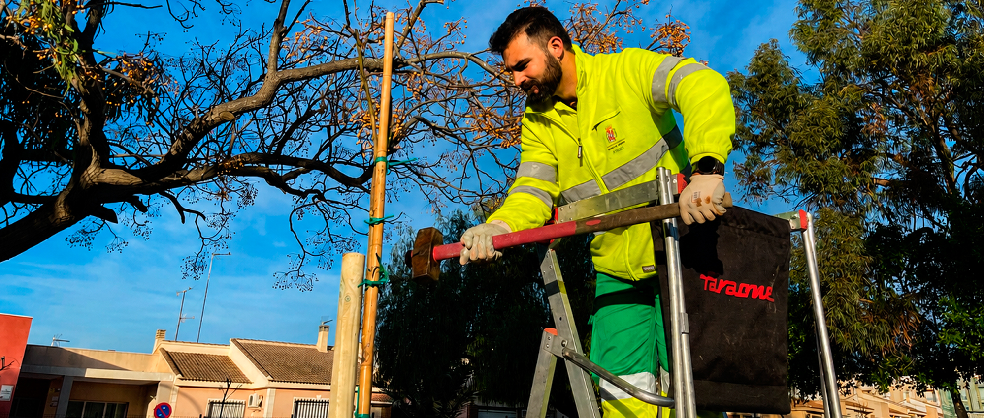 Cartagena suma más de 400 nuevos árboles en el primer semestre del año