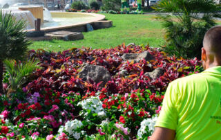 Más de 12.000 plantas vestirán Cartagena para la llegada de Carthagineses y Romanos