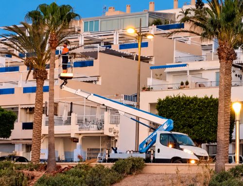 Actúa refuerza la protección de las más de 1.500 palmeras de Carboneras frente al picudo rojo